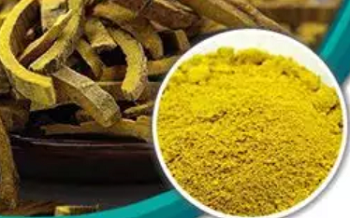 盐酸小檗碱的用途与药理作用