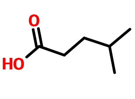 4-甲基戊酸的主要应用