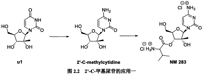2′-C-甲基尿苷的主要应用