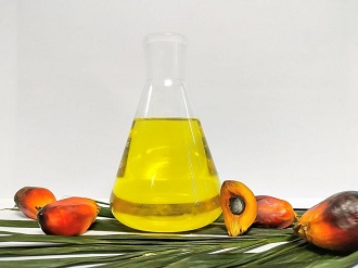 棕榈油的营养与生理功效研究