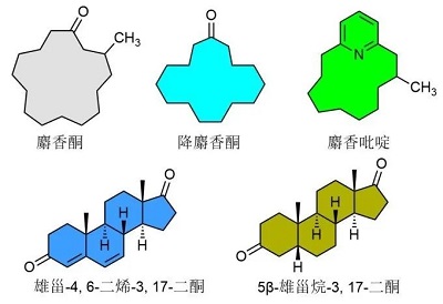 名贵香料麝香的成分 ——麝香酮