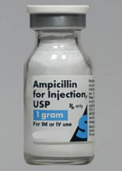 氨苄青霉素的临床应用与配伍 