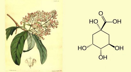 奎宁酸和莽草酸有什么区别？