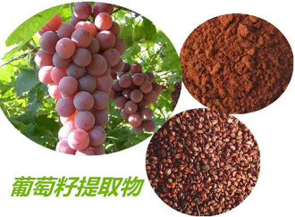 葡萄籽提取物的功效与作用