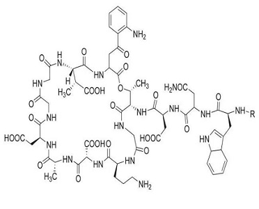 达托霉素-环脂肽类抗生素