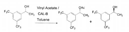 棘孢木霉及在合成(r)-[3,5-双(三氟甲基)苯基]乙醇中的应用