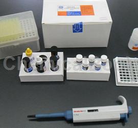 小鼠内皮抑素(ES)ELISA试剂盒的操作步骤