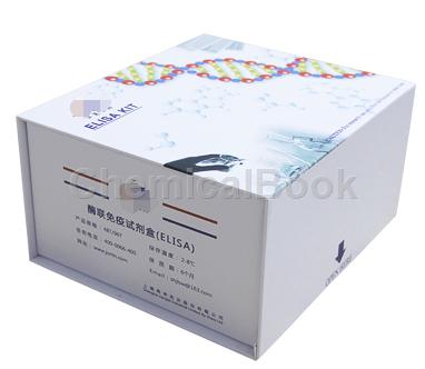 大鼠尿激酶(UK)ELISA试剂盒实验操作步骤
