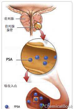 (fpsa)捕获抗体的包被微孔中,依次加入标本,标准品,hrp标记的检测抗体