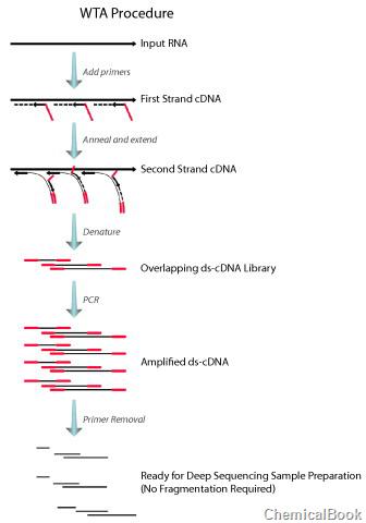 SEQPLEX RNA扩增试剂盒的应用