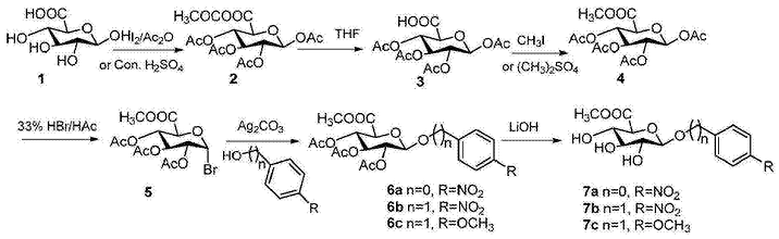 对硝基苯基-β-D-吡喃葡糖醛酸苷的制备