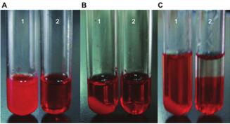 78628-80-5 Terbinafine HydrochlorideApplication of Terbinafine HydrochlorideSide effects and pharmacology of Terbinafine Hydrochloride