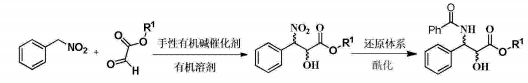 (2R，3S)-3-(苯甲酰基氨基)-2-羟基苯丙酸乙酯的制备
