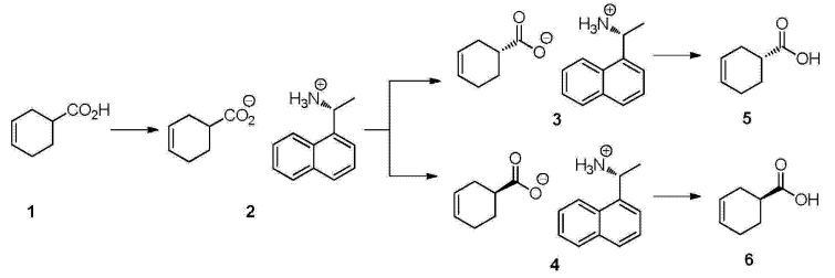 (R)-3-环己烯甲酸的制备方法