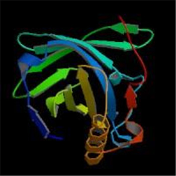 人Α1Β糖蛋白(Α1Β-GP)ELISA KIT的应用