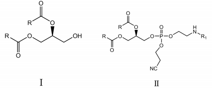 1,2-二硬酯酰-SN-甘油-3-磷酰乙醇胺的制备和应用