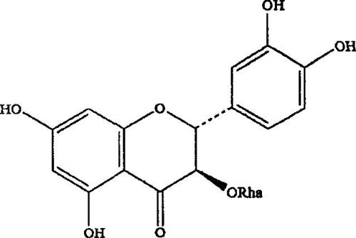 紫杉叶3-O鼠李甲基酸酯的制备