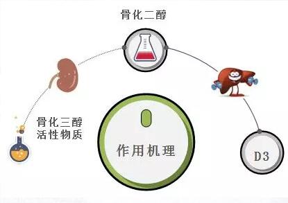 一文读懂维生素D2与D3的区别