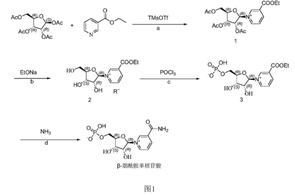 β-烟酰胺单核苷酸-烟酰胺单核苷酸的制备