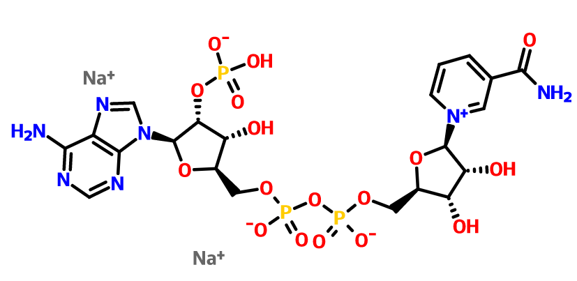 beta-烟酰胺腺嘌呤二核苷酸磷酸二钠盐的有关物质检测