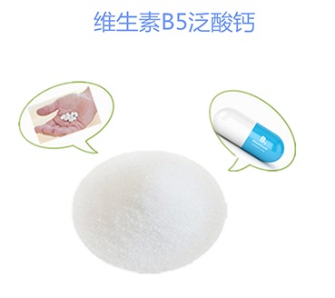 泛酸钙（维生素B5)
