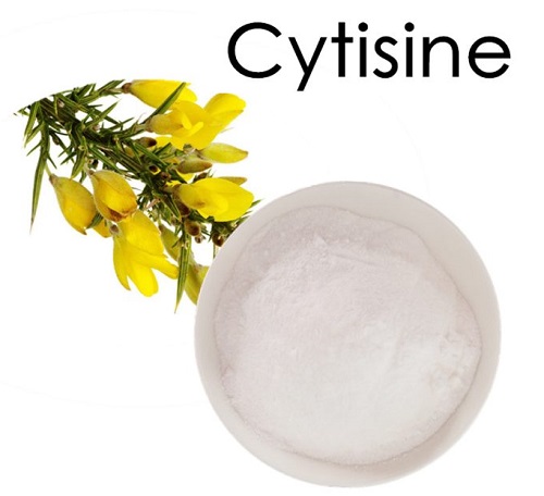 blog-1-1 Kepiye Bubuk Cytisine Disimpen? - Kintai