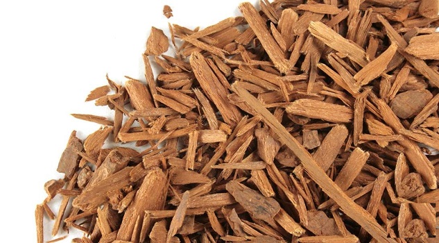 yohimbe bark yohimbe bark