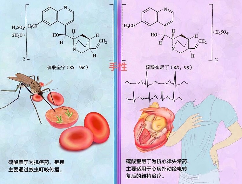 硫酸奎宁和硫酸奎尼丁虽互为手性分子,但其在药理作用却不相同