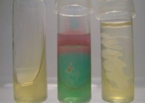 绿脓菌素测定用对照培养基基础的应用
