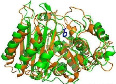 人硫氧还蛋白互作蛋白(TXNIP)ELISA KIT的应用