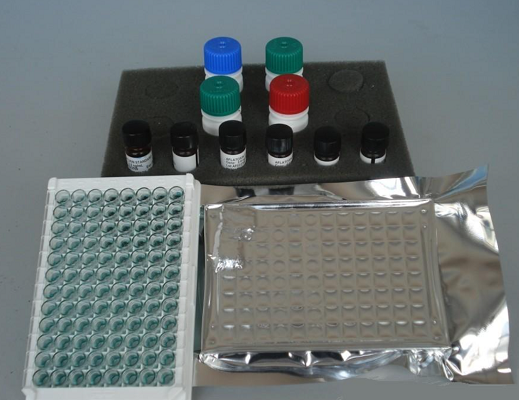 人Y一谷氨酞转肤酶(Γ-GTP)ELISA试剂盒的应用