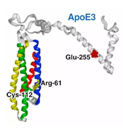 	兔Β淀粉样蛋白1-40(AΒ1-40)ELISA试剂盒