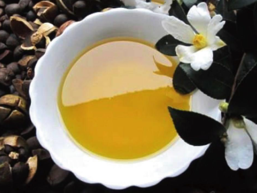 茶树油的提取方法