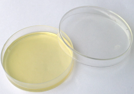 卵黄氯化钠琼脂培养基的应用