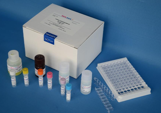 聚糖邻氨基吡啶(2-AP)荧光标记试剂盒的应用