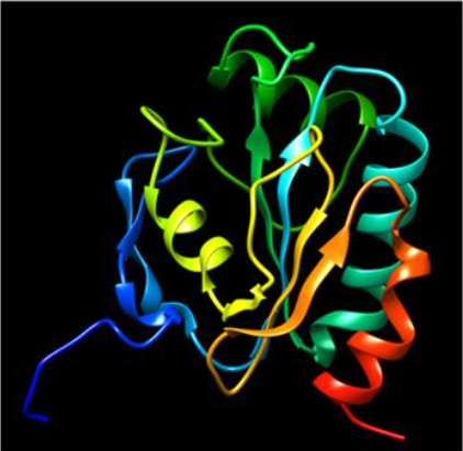 人谷胱甘肽过氧化酶(GSH-PX)ELISA 试剂盒的应用