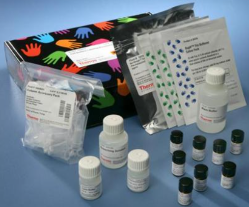 人表面活性蛋白A(SP-A)ELISA试剂盒的应用