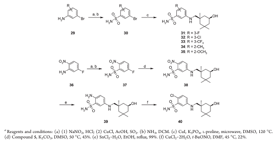 3-溴苯磺酰胺的制备和应用