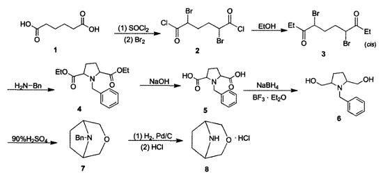 3-氧杂-8-氮杂双环[3.2.1]辛烷盐酸盐的合成