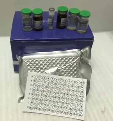 人过氧化氢酶(CAT)ELISA KIT