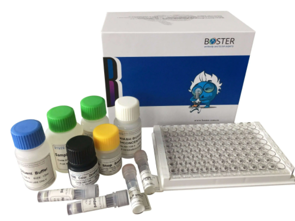 人胸腺非依赖性抗原(TI-AG)ELISA试剂盒的应用