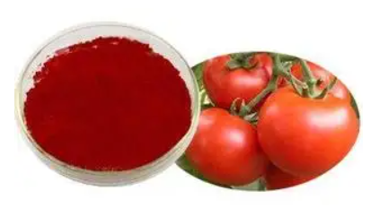 番茄红素的制备方法