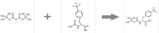 BOC-D-4-三氟甲基苯丙氨酸的制备