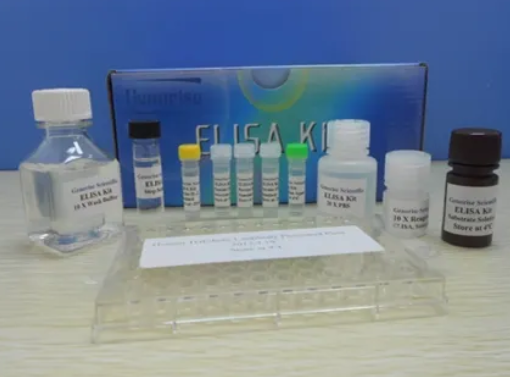 人集落刺激因子(CSF)ELISA 试剂盒