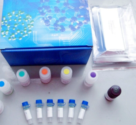 小鼠白介素2 ELISA试剂盒