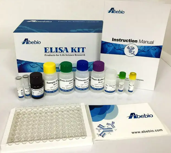 人脂肪细胞型脂肪酸结合蛋白(AFABP)ELISA试剂盒