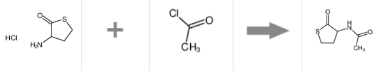 N-(四氢-2-氧代-3-噻吩)-乙酰胺的制备
