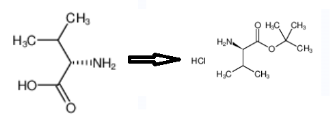 D-缬氨酸叔丁基盐酸盐的制备