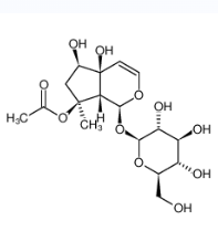 8-O-乙酰哈巴苷的制备