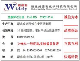 盐酸伊达比星